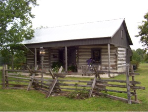 Two Log Cabins w/ dog run